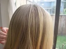 енциклопедія