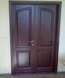 яних