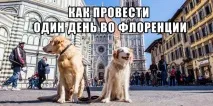 Як подивитися, де поїсти, які провести один день у Флоренціїекскурсії відвідати подивитися
