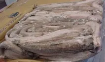 Як вибрати якісну морожену рибу, Правильне харчування рибу