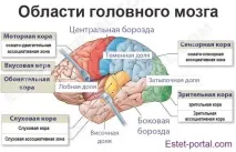 язки