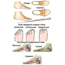 Як вибрати бутси для залу вибрати