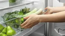 Як заморозити шпинат в домашніх умовах. шпинат