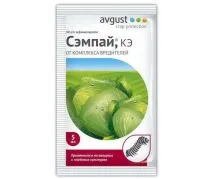 Капустяна моль опис та методи боротьби капустяна