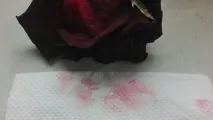 Коли від помади губи не горять – Ярмарок Майстрів губи