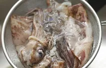 Кільця кальмарів у клярі кальмарів