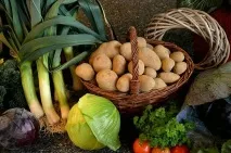 Картопля в сітку, цибуля – у «коси» сітку