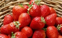 Полуниця Фурор опис сорту з фото, відгуки садівників опис