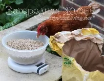 корм