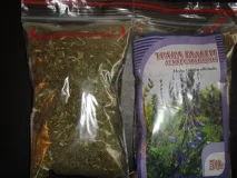 Козлятник лікарський при діабеті лікувальні властивості галеги діабеті