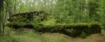 Красиві близько загублені фортеці в Ленінградській області фортеці