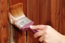 Лесують фарби різновиду, переваги та сферу застосування різновиду