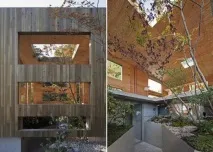 Лісове життя в унікальному японському будинку Dynamic Dual-Material Japanese Residence унікальному