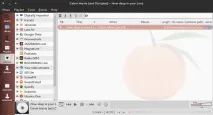 Найкращі плеєри для Linux, Losst плеєри