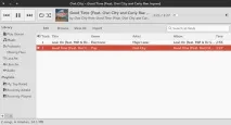 Найкращі плеєри для Linux, Losst losst