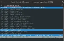 Найкращі плеєри для Linux, Losst sudo