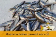 Лов уклейки ранньою весною з льоду - Тихий вир уклейки