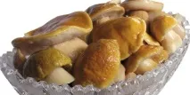 грибів