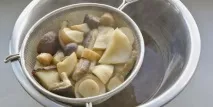 грибів