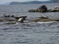 Місця відпочинку у Безверховому місця