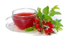 Корінь шипшини від каменів у нирках відгуки та рецепти відгуки