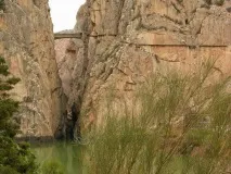 Королівська стежка (ісп стежка
