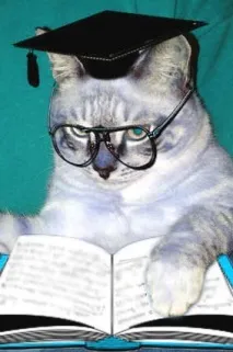 Котячий тлумачний словник словник