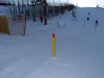 своїми