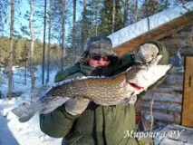 відпочинок
