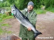 риболовля