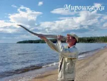 карелії