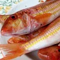 Морська риба - пошук слів за маскою та визначенням, відповіді на сканворди пошук