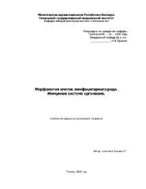 Морфологія клітин лімфоцитарного ряду морфологія
