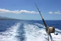 На рибалку до Норвегії риболовлі