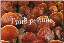 Народні засоби від жирового гепатозу, Народні рецепти здоров’я засоби
