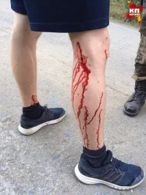 поїхали