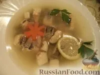 Новий Рік, Заливне, рецепти з фото на 37 рецептів рецепти