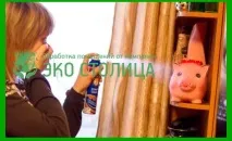 Обробка від бліх приміщення квартири бліх