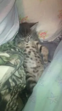 Потрібна допомога пікабушників) потрібна