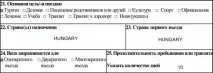 Зразок заповнення анкети для отримання шенгенської візи до Угорщини у 2019 році. заповнення
