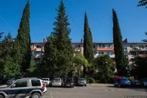 адлер
