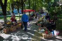адлер