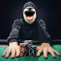 Особливості онлайн ігри Shark Poker онлайн