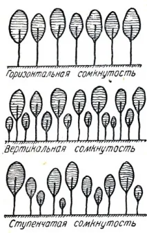 Відбір дерев 1949 Ейтінген Г відбір