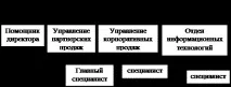 Звіт з ознайомлювальної практики у ВАТ Страхова компанія РОСНО компанія