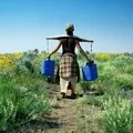 Палка - пошук слів за маскою та визначенням, відповіді на сканворди пошук