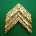 Палка - пошук слів за маскою та визначенням, відповіді на сканворди палка