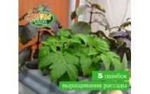 Відлякувачі та засоби від шкідників інсектицидні