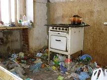 Звідки беруться таргани у квартирі Які види тарганів можна зустріти звідки
