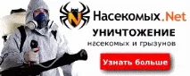 Звідки беруться таргани у квартирі Які види тарганів можна зустріти звідки